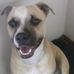 June Dooley - Facebook