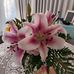 June Dossett - Facebook