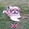 June Douglas - @june.douglas3 - TikTok