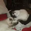 June Douglas - @june.douglas6 - TikTok