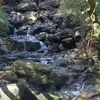 June Douglas - @june.douglas5 - TikTok