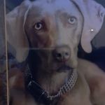 June Dudley - @junedudley43 - Instagram