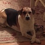 June Dudley - @june.dudley.397 - Instagram
