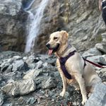 June Mulan Dudley💜 - @june_thegoldenchic - Instagram