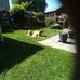 June Dunn - Facebook