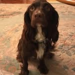 June Dunn - @junedunn479 - Instagram