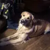 June Dunn - @june.dunn1 - TikTok