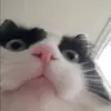 Eden - @edenmayjune - TikTok