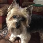 June Elam - Facebook