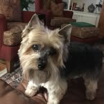 June Elam - @juneelam2024 - Instagram