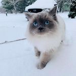 June Ellsworth - @juni.ee1 - Instagram