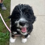 birdie june - @birdiejune_erickson - Instagram