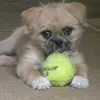 June Erickson - @june.erickson3 - TikTok