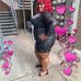 June Fields - Facebook