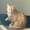 June Finlay - @june.finlay6 - TikTok