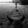 june flattery - @juneflattery - TikTok