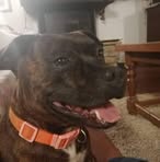 June Fletcher - Facebook