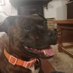 June Fletcher - @junefletcher64 - Instagram