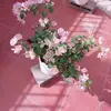 junefletcher781 - @junefletcher781 - TikTok