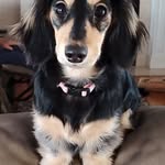 June Flickinger - @juneflickinger - Instagram