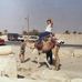 Jeno Flikinger - Facebook