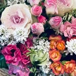 June Forest （Junko Morita） - @june_forest_green - Instagram