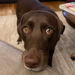 juniper francis - @june.frank1 - Instagram