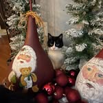 June Dykstra Franks - @jandjfranks - Instagram