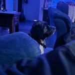 June Gallagher - @juneg6763 - Instagram