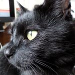 June Gardiner - @gardiner_june - Instagram