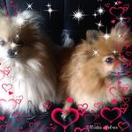 June Gardiner - @june.gardiner.73 - Instagram