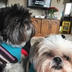 June Gatewood - Facebook