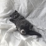 Gee. - @gee_june - Instagram