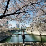 June Goh - @june_mimosa - Instagram