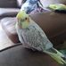 June Golding - Facebook