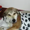 junegolding795 - @junegolding795 - TikTok
