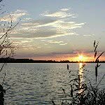 june gore - @junegore72 - Instagram