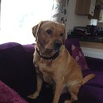 June Donnelly-Graves - @donnellygraves - Instagram