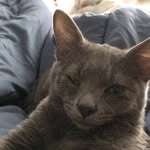 June Grey - @june.bug.grey - Instagram
