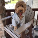 June Griffith - @june.griffith1 - Instagram