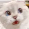 June Griffith - @jigglypuff2.2 - TikTok