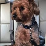 June Griffiths - @junegriffiths99 - Instagram