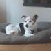 June Griffiths - Facebook