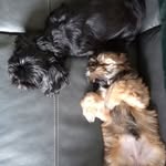 June Mary Griffiths - @junegriffiths598 - Instagram
