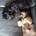 June Mary Griffiths - Facebook