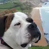 junegriffithsjame - @junegriffithsjame - TikTok