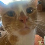June Gulla - @jegulla1962 - Instagram