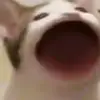 user2157023370247 - @juneguzmanci45tc - TikTok