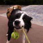 June Hackett - @junehackett - Instagram