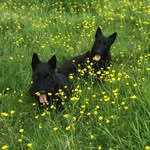 @june_haggerty1 - Instagram